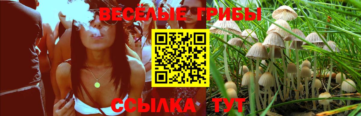 Галлюциногенные грибы Cubensis Гуково