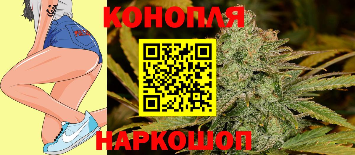 Бошки Шишки ГИДРОПОН  Вход с VPN  Гуково  Канабис план 